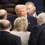 How Trump’s dizzying jerks and jolts on tariffs are ‘freezing’ US business