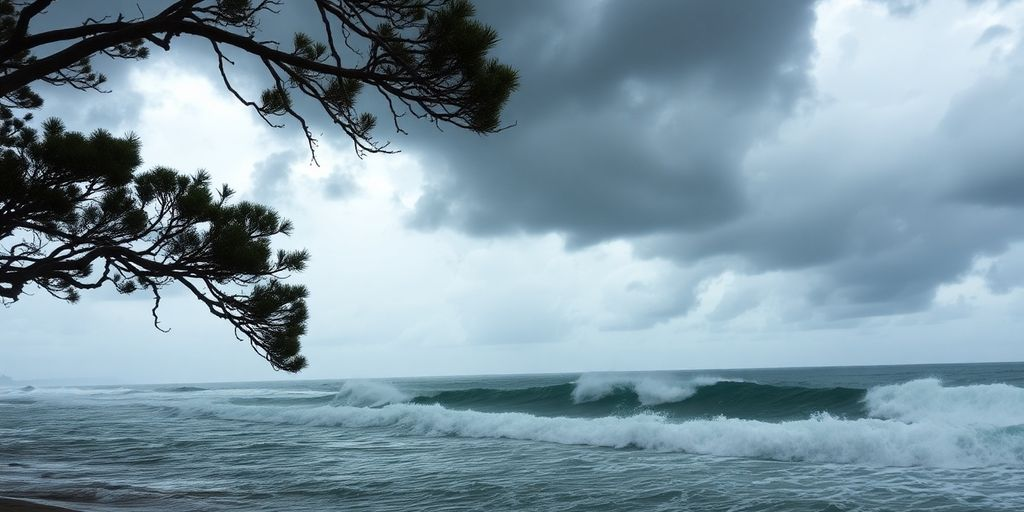 Cyclone Alfred Gears Up for a Rare Landfall Near Brisbane!